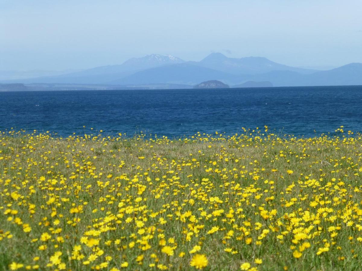 You Little Beauty - Wharewaka Beach Magic Lago Lago Taupo Exterior foto